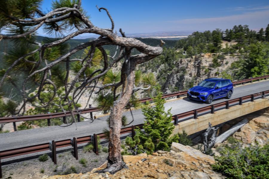  BMW X5 M Competition (F85) 2019 года  (WW) (фото 27 из 84)
